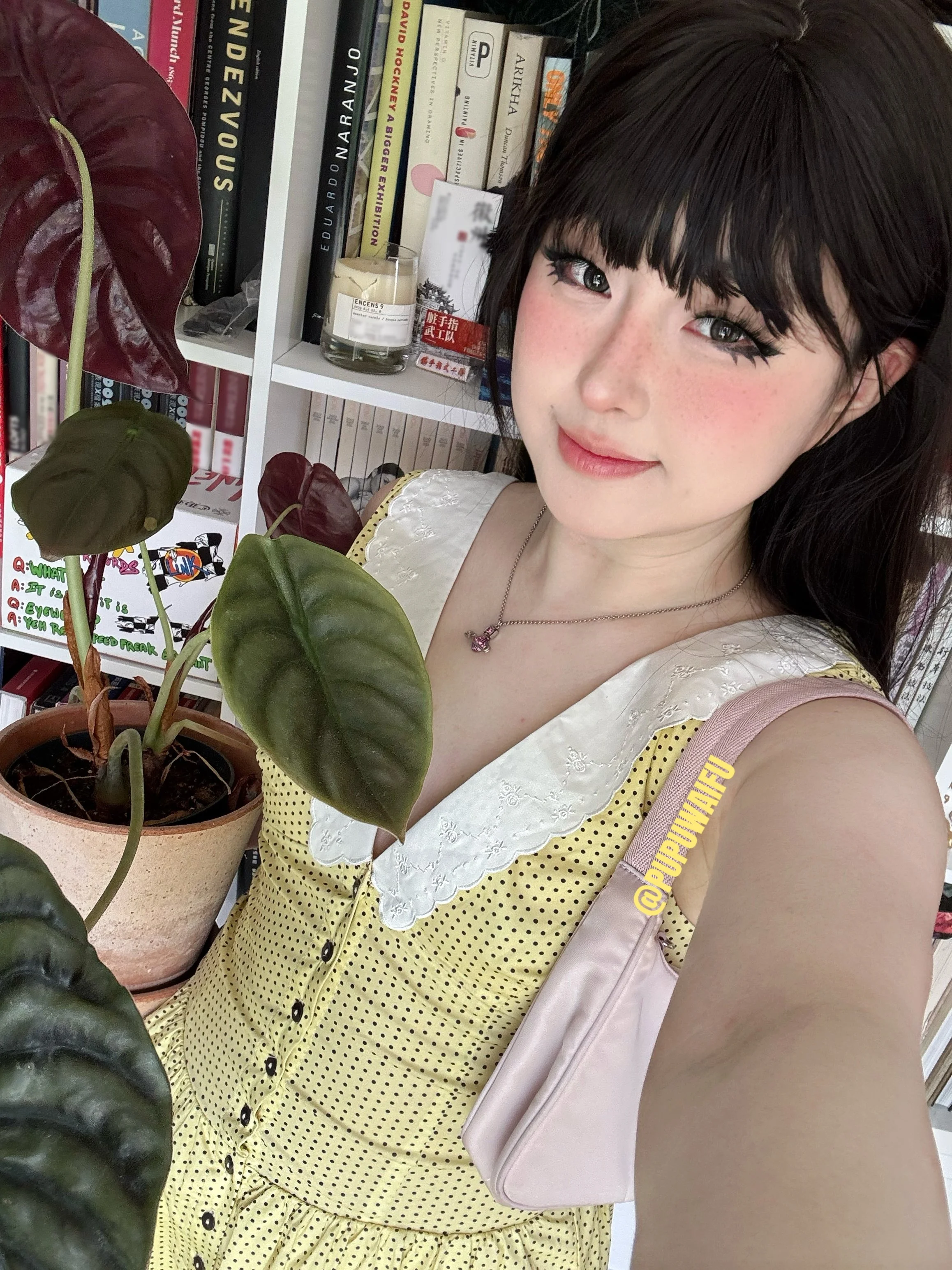 噗噗pupu@Aheyanlz 写真集104.5G高清下载
