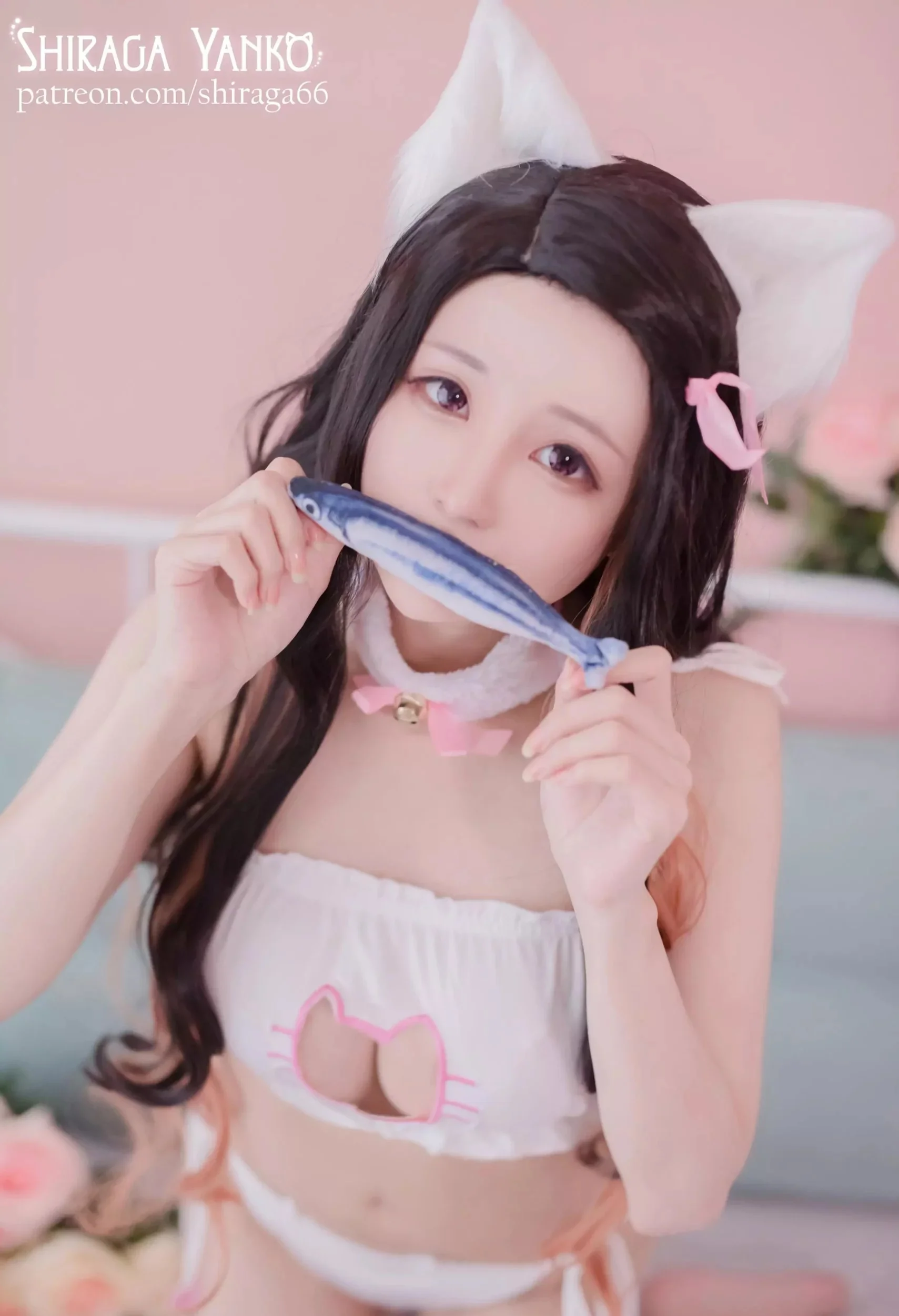 Shiraga Yanko写真图片(3)